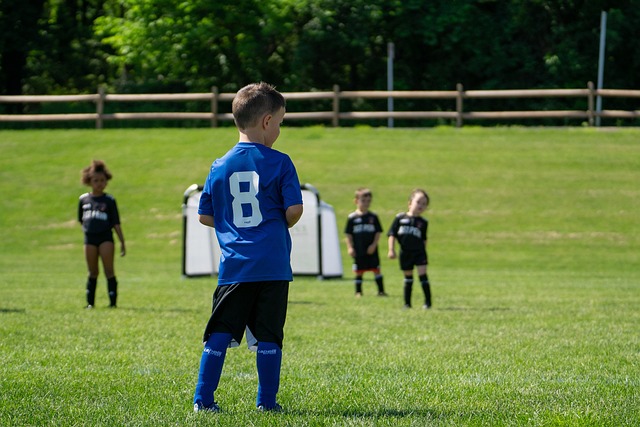詹皇绝杀助湖人跃升西部第4, 快船飙升第6, 勇士跌入附加赛区.